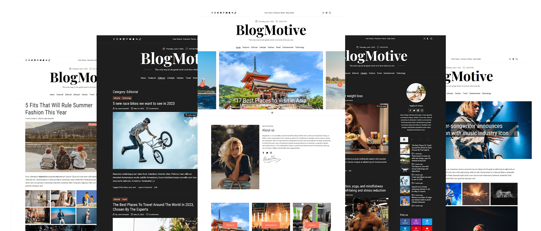 Blogmotive Multiple Demos