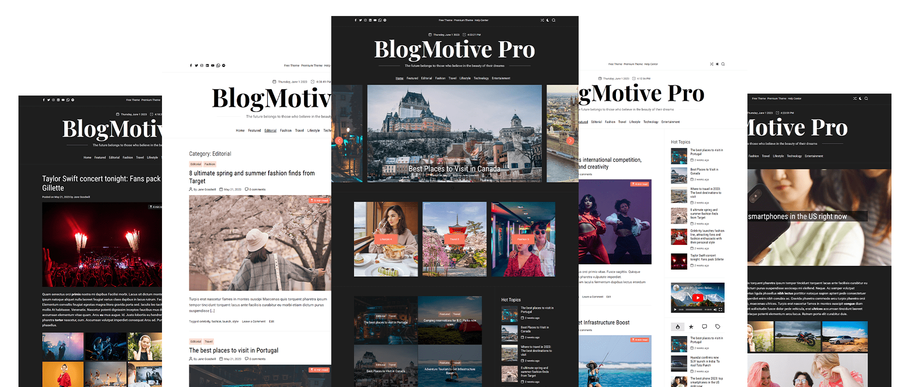 Blogmotive Pro Multiple Demos