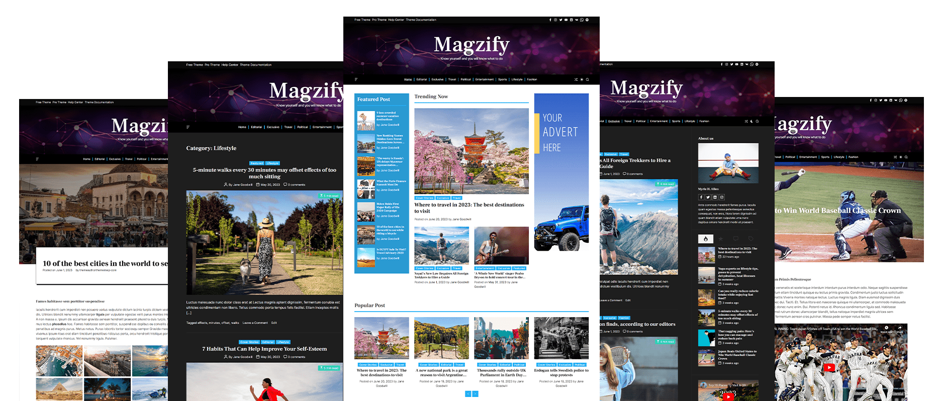 Magzify Multiple Demos