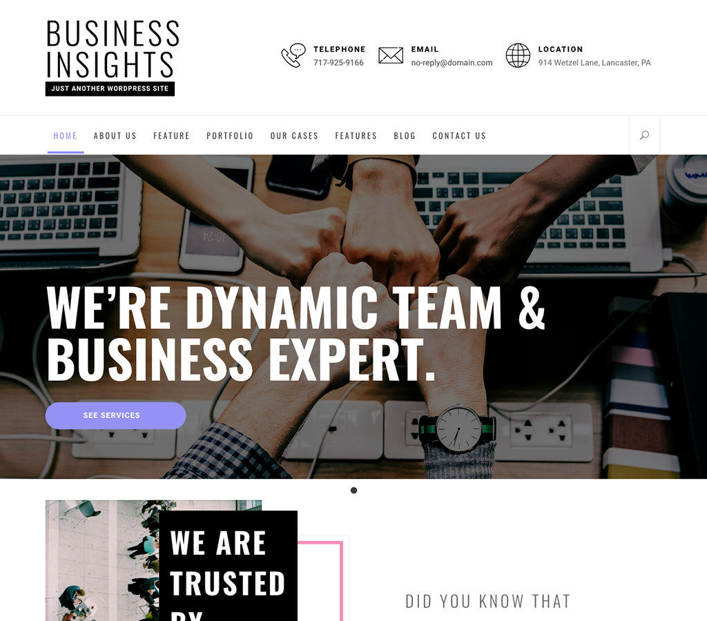 Business Insights Free WordPress Theme